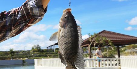 60% DISCOUNT ON FISHING AT LAGUNA SOV!